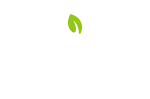 Vita